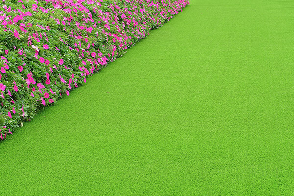 Artificial Grass Cleaning