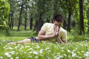 Grass Pollen and Allergens
